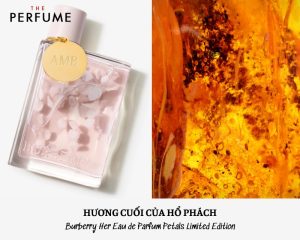 nước hoa burberry her petals limited