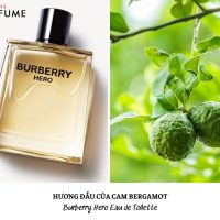 nước hoa burberry hero edt