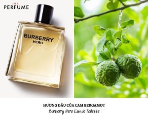 nước hoa burberry hero edt