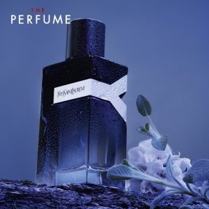 nuoc-hoa-ysl-y-edp